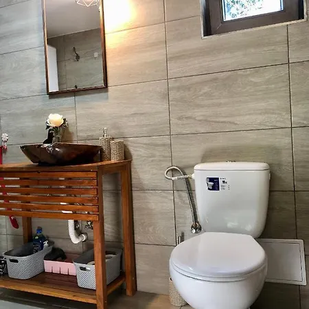 Holiday home Domeniul Horj Casa Din Stejar *